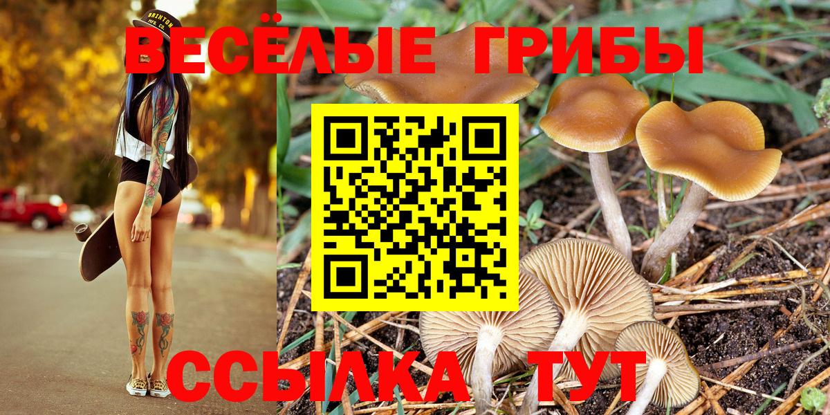 закладки  Вход с VPN  Псилоцибиновые грибы Psilocybine cubensis  Орехово-Зуево  Галлюциногенные грибы GOLDEN TEACHER 